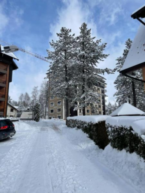 Apartman Zlatibor's Frost (Zlatiborski Mraz)